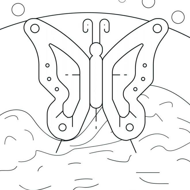 Buku Lembar Mewarnai Kupu-kupu