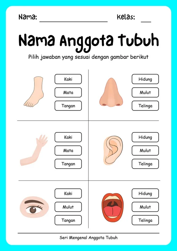 Worksheet Anak Seri Mengenal Anggota Tubuh