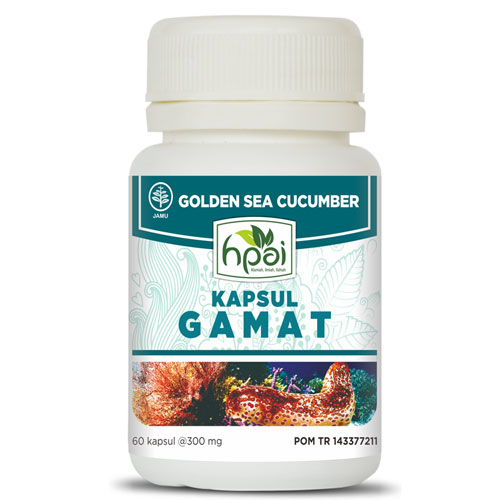 Gamat Kapsul