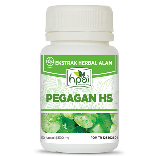 Pegagan HS